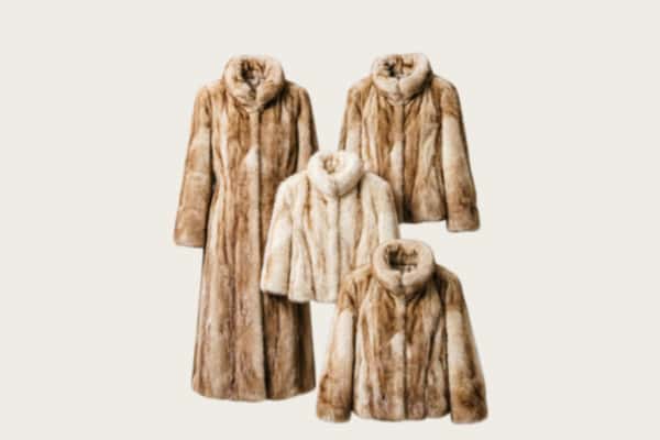 昌吉市回收皮草衣服